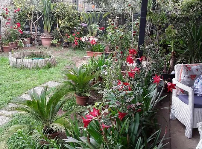 Molly Διαμέρισμα Santa Maria di Castellabate